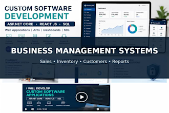 develop a custom software application