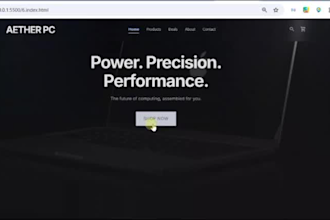 design and develop a professional mern stack website