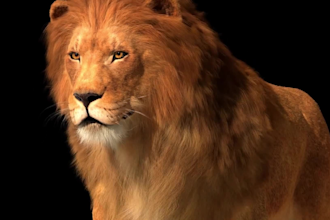 do realistic 3d animal animation cgi animal model vfx compositing for film etc