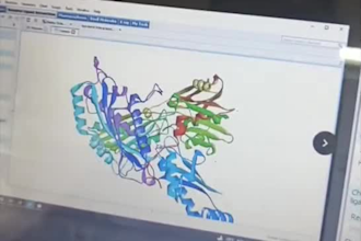 analyze ligand protein interaction using molecular docking autodock