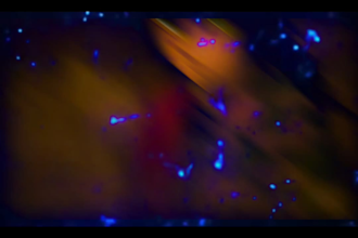 create  quality anime amv, marvel, and aesthetic video edits