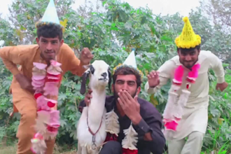 african happy birthday video african happy birthday video