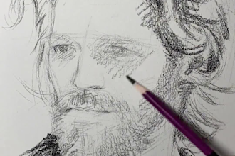 draw pencil sketch and colored portrait for you