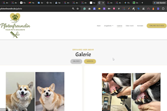 design and develop a responsive webflow website
