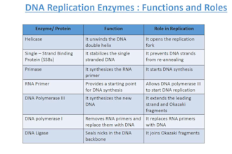 design genetics and molecular biology powerpoint presentation