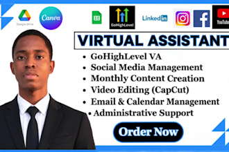gohighlevel executive virtual assistant social media manager personal assistant
