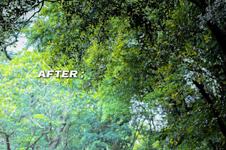 do lightroom photo editing and professional color correction