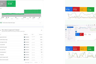 do full google services SEO, gmb, ga4, gsc, GTM and shopping