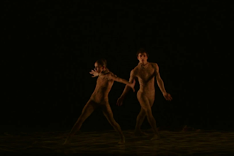 perform a professional couple ballet dance with my romantic partner