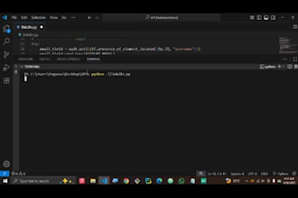 build a python automation script or ai chatbot for you