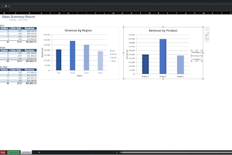 build excel dashboards with data cleanup and vba