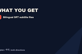 translate and subtitle your video in english and chinese