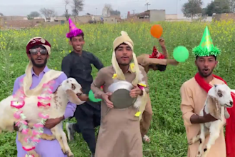 make funny african happy birthday video and wish african with dance