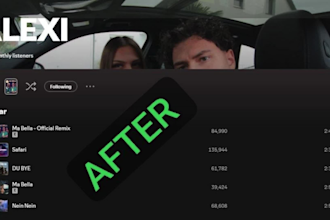 increase spotify followers, spotify streams and listeners organically