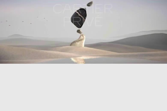 create a custom 3d animated website with scroll effects