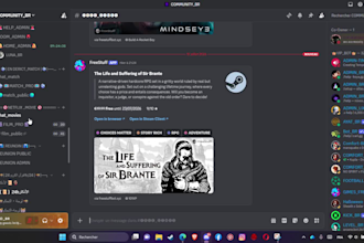create a professional discord server with bots and automation