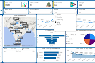 create professional excel dashboard and reports