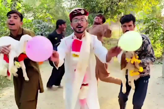 african happy birthday video african happy birthday video