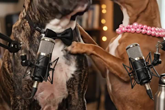 do realistic ai dog, cat podcast video talking pet, bunnies videos