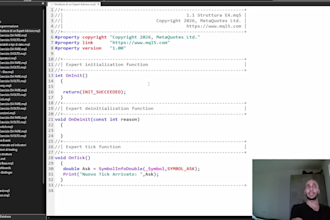 teach you mql5 programming for metatrader 5
