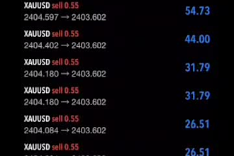 gold trading bot forex bot xauusd ea trading ea bot forex trading gold ea robot