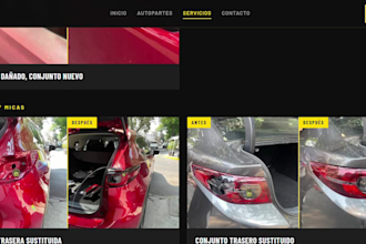 design a professional website for small business