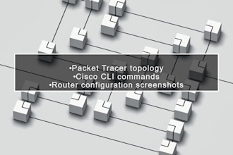 configure cisco routers and switches professionally