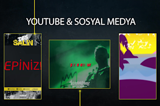 create professional animated lyric videos