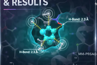 perform molecular docking and MD simulation