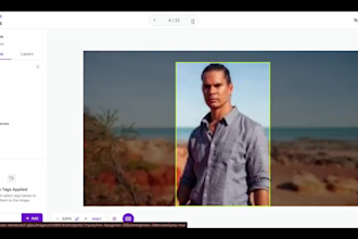 provide 24h data annotation and labeling