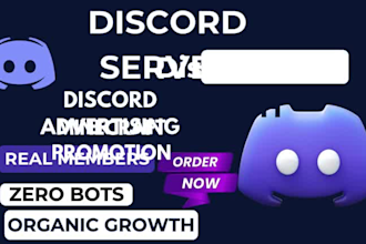 do discord server promotion, discord ads, minecraft, fivem, server promotion