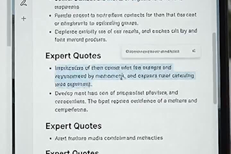 write SEO optimized articles and blog posts that rank on google