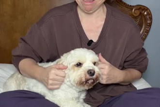 create pet ugc videos with my two dogs
