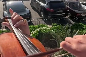 record high quality strings for your project