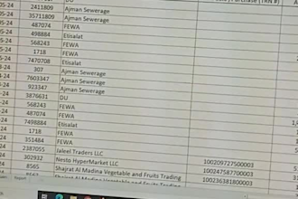 handle accounting, data entry and bookkeeping