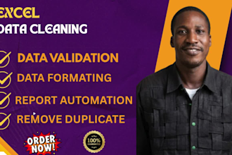 do excel data cleaning, cleanup, data scrubbing interpretation, data entry fast