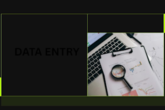 vdo data entry work