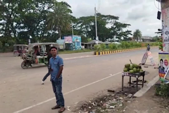 provide high resolution bus videos