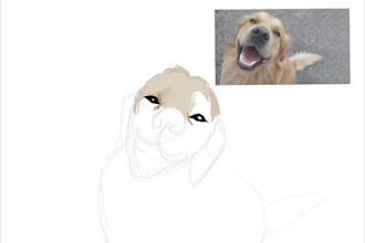 create a pet portrait digitally