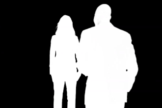 do professional rotoscoping chroma keying and video compositing