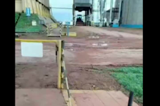 provide exclusive videos inside brazil grain warehouse classification