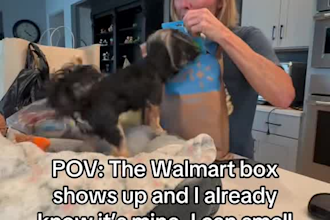 create authentic pet related content