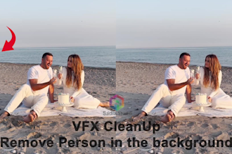 professional object removal, cleanup rotoscoping vfx