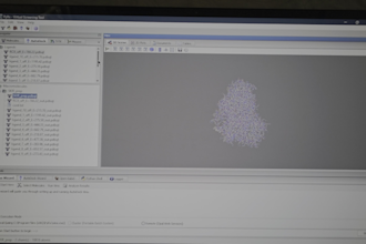 conduct the molecular docking and analysis