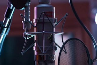record pro acoustic, electric, classical, lap steel guitars, rock songs metal