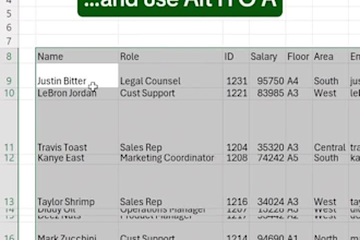do professional data cleaning, and excel data cleanup