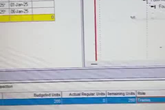 create primavera p6 project schedule and gantt chart