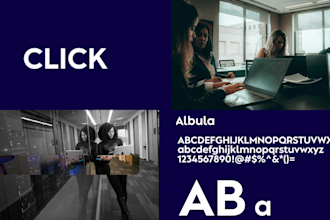 design a professional logo and brand guidelines in 24 hours