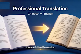 chinese english translation CV fiction