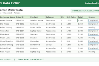 do accurate excel data entry, data cleaning and web research